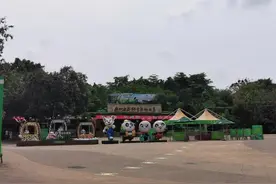 原来长隆的白虎并不值得骄傲吹捧——广州长隆野生动物世界复工后探园小记图片