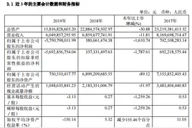 鹏博士2019全年亏损57.5亿元 此前23亿转让数据中心图片