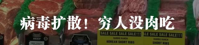 头盔价格暴涨神话破灭，倒爷一夜暴富梦碎