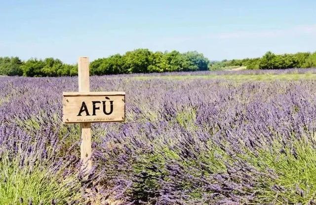 你有多久，没有好好睡个觉了？