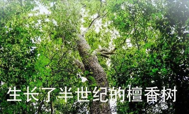 你有多久，没有好好睡个觉了？