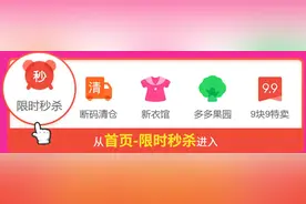 拼多多“秒拼”事业群首推大促，“520秒杀节”上线5.2元戴森吸尘器图片