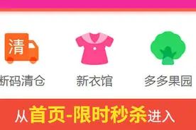 拼多多“秒拼”事业群首推大促，“520秒杀节”上线5.2元戴森吸尘器图片
