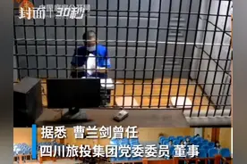30秒|被控受贿550余万元  四川旅投集团原党委委员、董事曹兰剑“云受审”视频封面