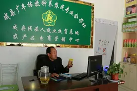 甘肃成县 | 奋进·成县电商人：老支书的电商“情结”图片