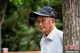 福建后洋村：千亩绿林激活“绿色经济”图片