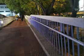电动车违规骑上天桥真不少，外卖小哥：推着太沉图片