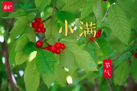 520：这是我对你的表白∣四季餐桌图片