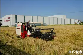 百村调研行丨南通通州金北村：高科技带动粮食增收，传统农业变“聚宝盆”图片