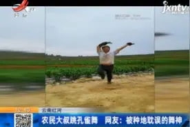 云南红河：农民大叔跳孔雀舞 网友：被种地耽误的舞神视频封面