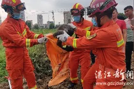 端午前后蛇出没图片