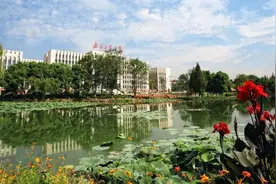 南京工业大学2020年硕士研究生一志愿拟录取名单公示图片