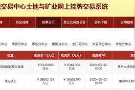 3.5亿元！惠州澳头、陈江两宗村企合作用地均以挂牌价出让图片