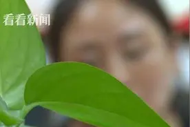 看·法｜啥信用卡这么香？付一万多也要办图片