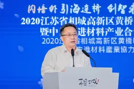2020江苏省相城高新区黄桥街道投资推介暨中日先进材料产业合作推进会举行图片