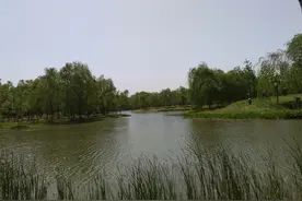 散文诗.瞧 小河流畅的初夏墨卷静好图片