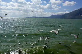 行走云南之一：滇池“孔雀蓝”里的天地美图片