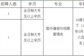 宿豫区行政审批局公开招聘2名工作人员图片