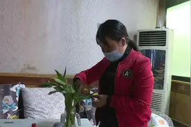 我是家庭顶梁柱，一位母亲的故事图片