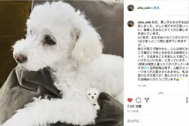 凑成好字！34岁日本女星相武纱季二胎生女图片