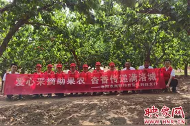 洛阳农商银行自贸区科技支行组织开展爱心助农活动图片