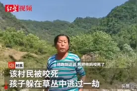 四川黑熊咬死3人背后：吃过人的熊，到底有多可怕？图片