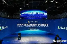 狗牯脑茶、泰和乌鸡榜上有名！江西10个地理标志产品荣登区域品牌100强图片