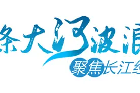一条大河波浪宽｜全国人大代表沈仁芳：“水里”的事要在“岸上”治图片