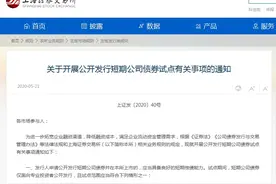 上交所开展公开发行短期公司债试点，仅面向专业投资者发行图片