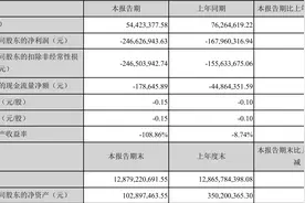 *ST飞马收行政处罚决定书 因信披违规被罚60万图片