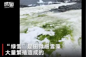 气候变暖致南极“绿雪”蔓延，太空中都可看见图片