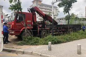 深圳一车主绿化带违停被罚1.5万大呼肉痛，执法部门：依法处理图片