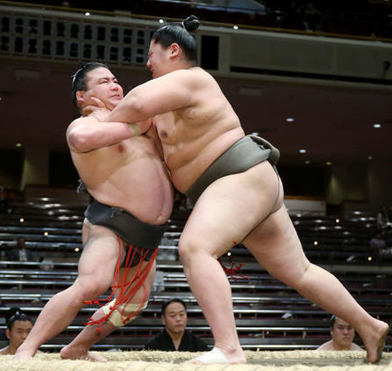 日本相扑：大胖子打架背后的辛酸史