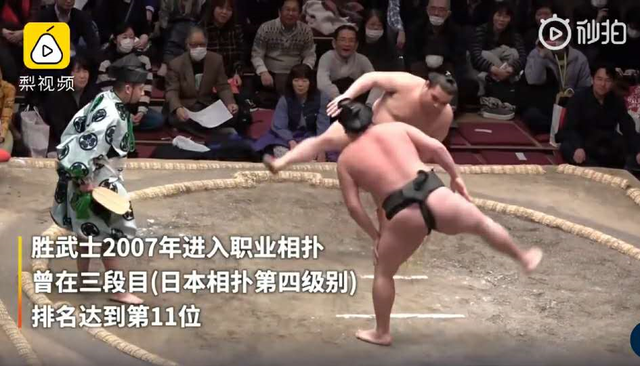 日本相扑：大胖子打架背后的辛酸史