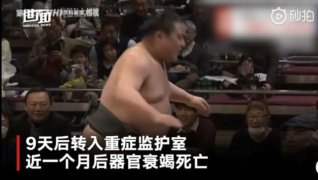 日本相扑：大胖子打架背后的辛酸史