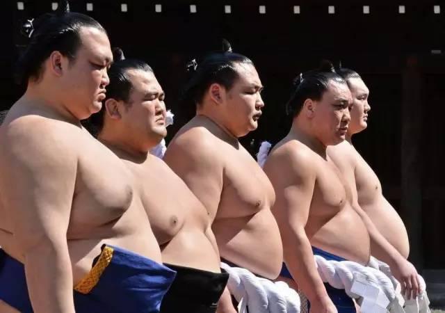 日本相扑：大胖子打架背后的辛酸史