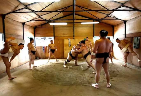 日本相扑：大胖子打架背后的辛酸史