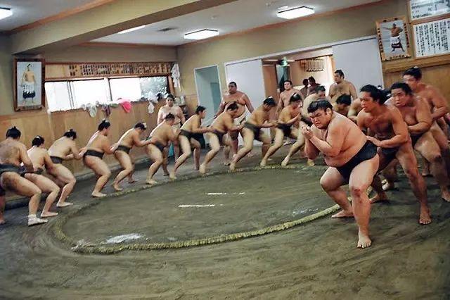 日本相扑：大胖子打架背后的辛酸史