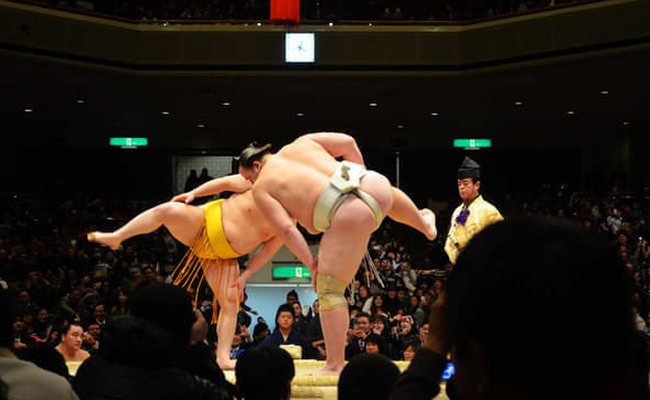 日本相扑：大胖子打架背后的辛酸史