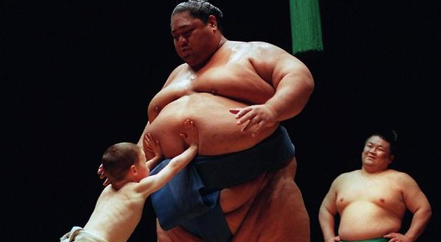 日本相扑：大胖子打架背后的辛酸史