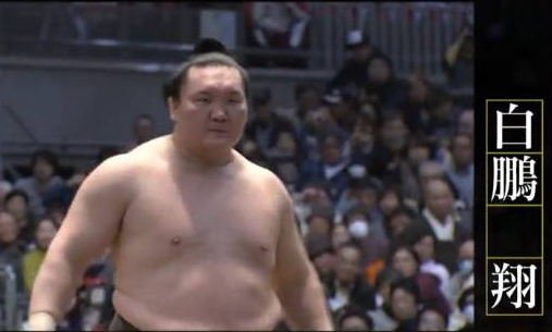 日本相扑：大胖子打架背后的辛酸史