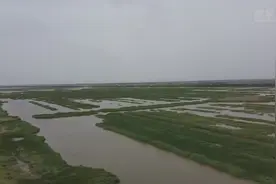 天津：加快恢复湿地生态 带动农民增收视频封面