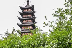 历经千年风霜，在松江，看似普通的TA一身传奇图片
