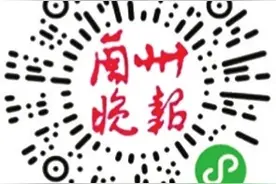 一片苦涩树叶 调出万般甘香 跟晚报GO上架陇南茶叶图片