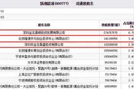 又见违规减持！新潮能源股东竟“不宣而减”，背后或涉控制权争夺图片