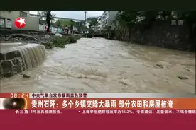 贵州石阡：多个乡镇突降大暴雨  部分农田和房屋被淹视频封面