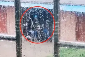 外卖小哥遇冰雹躲楼下，她看见后狂按车库遥控器，背后故事让人哽咽图片