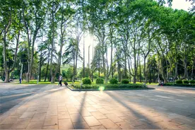 淮南老市政府大院公园名称征集公告图片