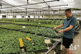 研发独家新品，发力社区电商，三水一园艺企业逆袭图片