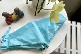 可抗11级强风的高颜值长柄伞你可喜欢？紫丁香高端招牌产品24骨长柄伞上架促销图片